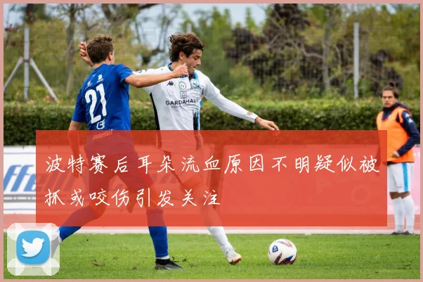 波特赛后耳朵流血原因不明疑似被抓或咬伤引发关注