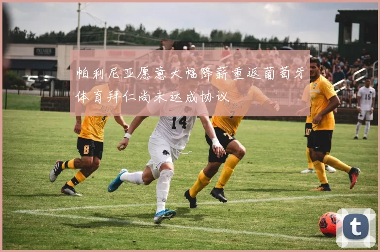 帕利尼亚愿意大幅降薪重返葡萄牙体育拜仁尚未达成协议