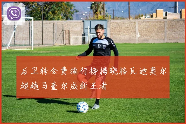 后卫转会费排行榜揭晓格瓦迪奥尔超越马奎尔成新王者